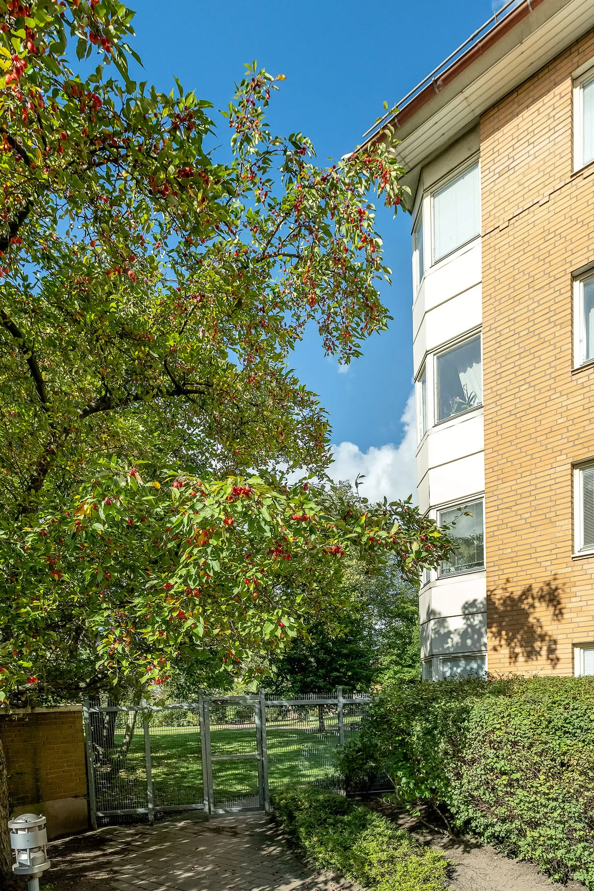 Hyreslägenhet på Malmö i malmo