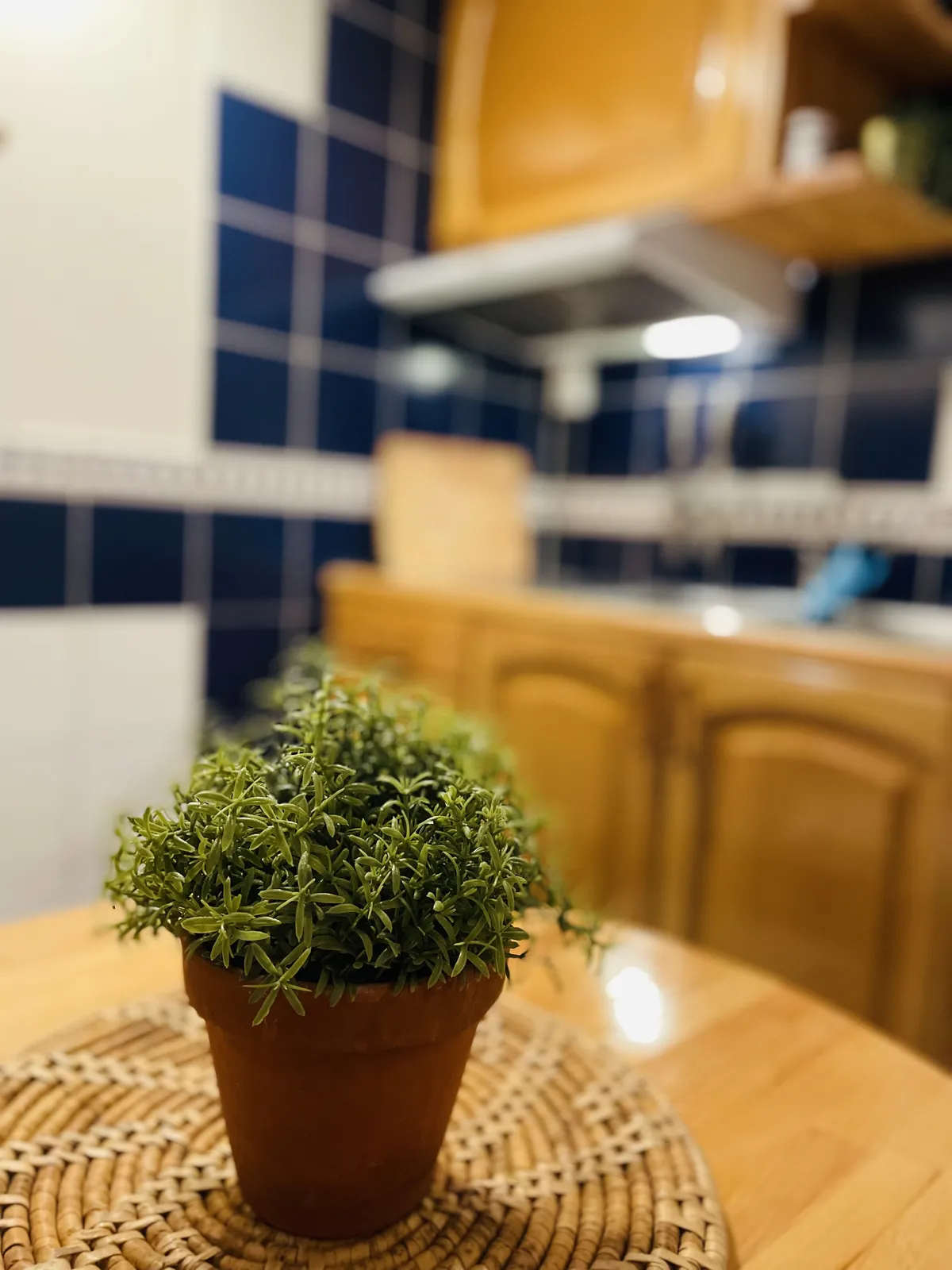 Hyreslägenhet på Västra Frölunda i vastra-frolunda