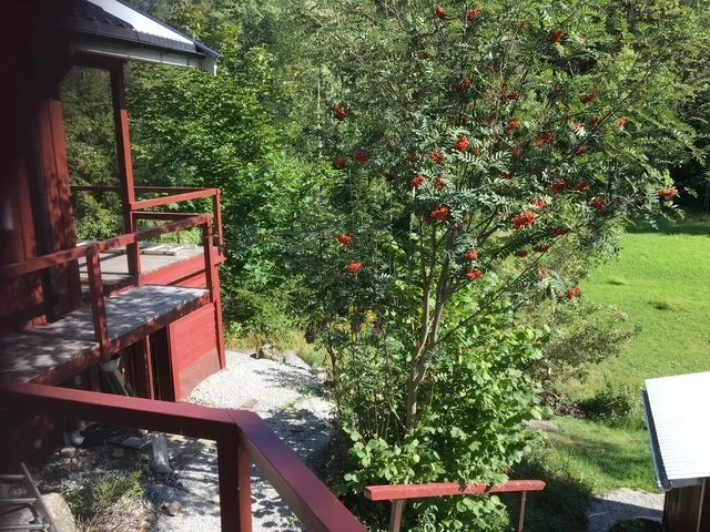 Hyresbostad på Huddinge i huddinge