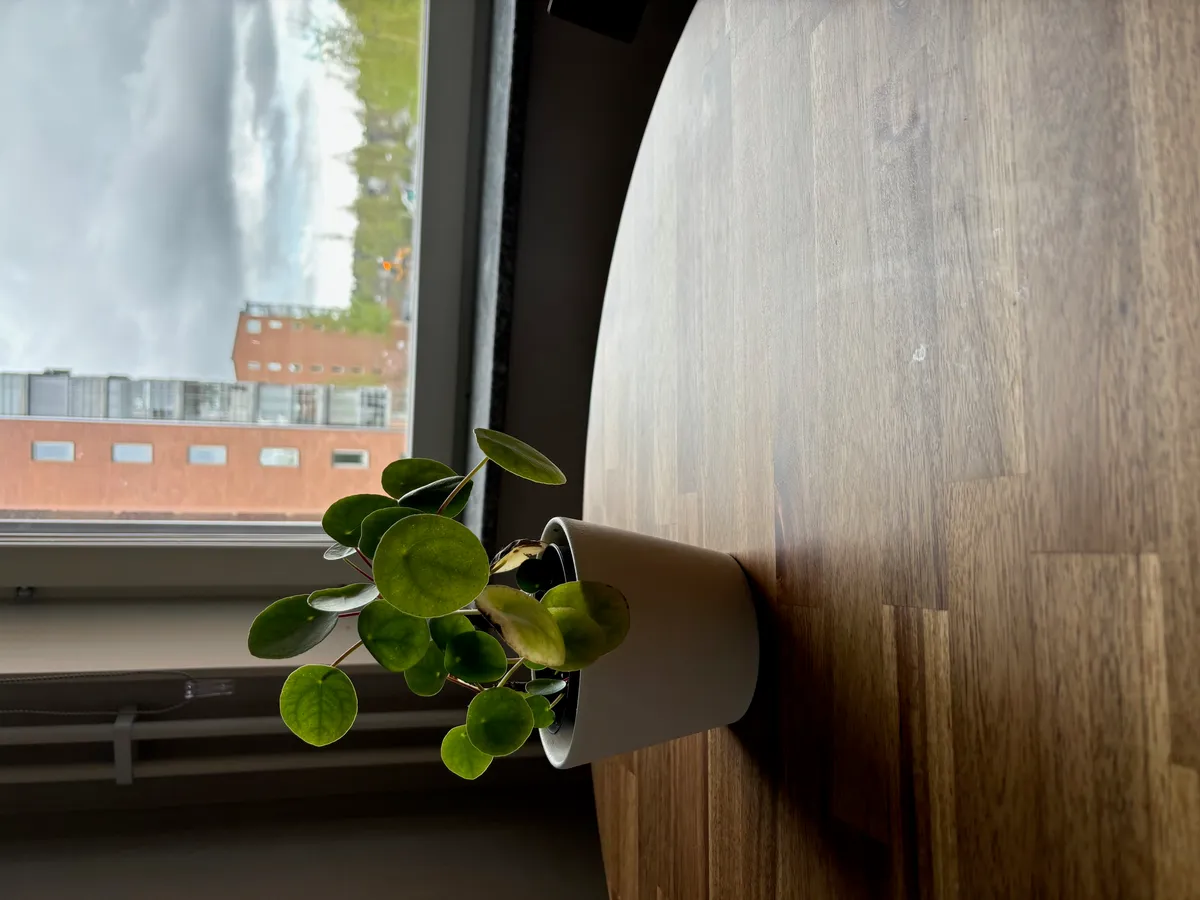 Hyreslägenhet på Umeå i umea