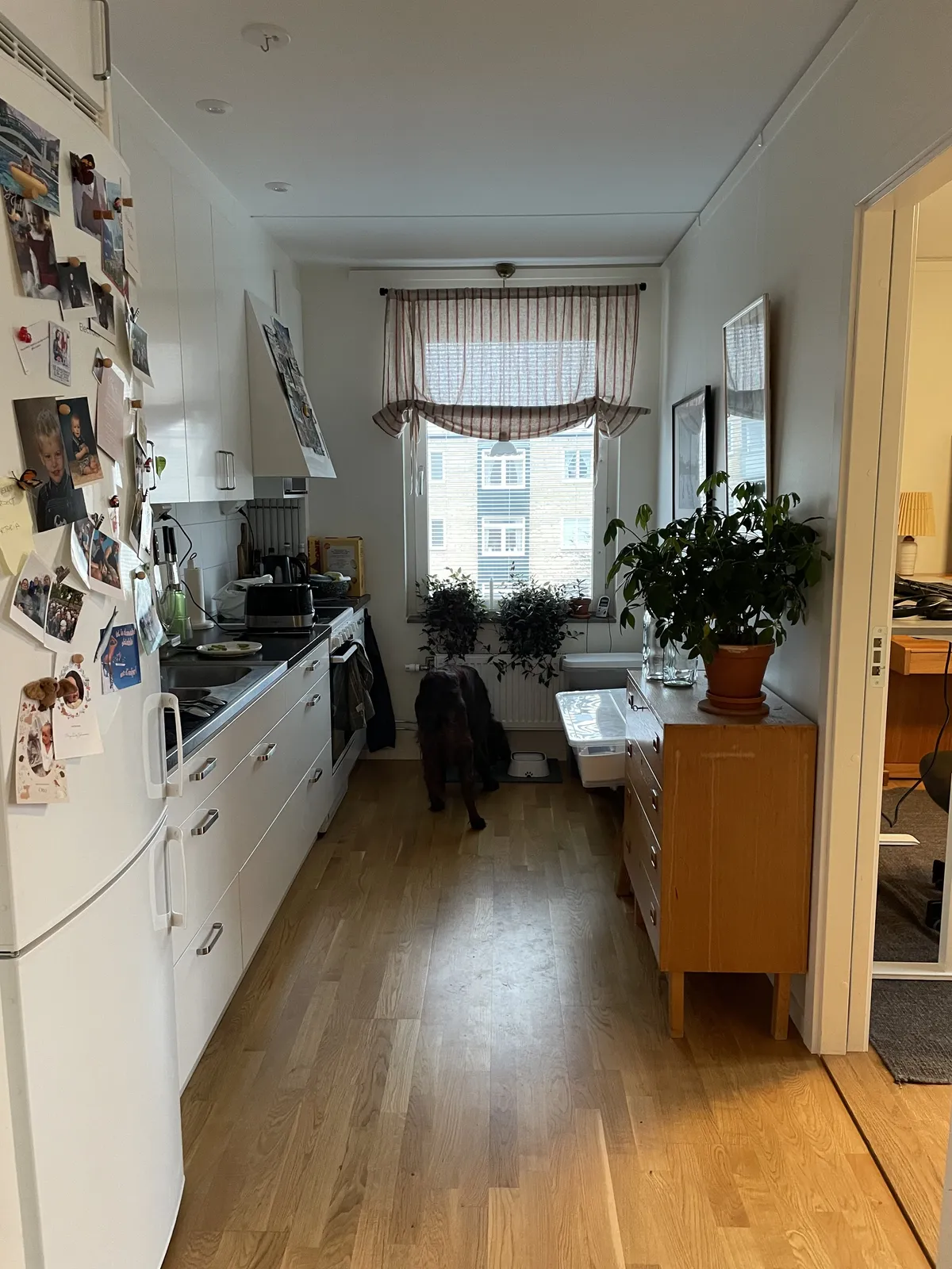 Hyreslägenhet på Uppsala i uppsala