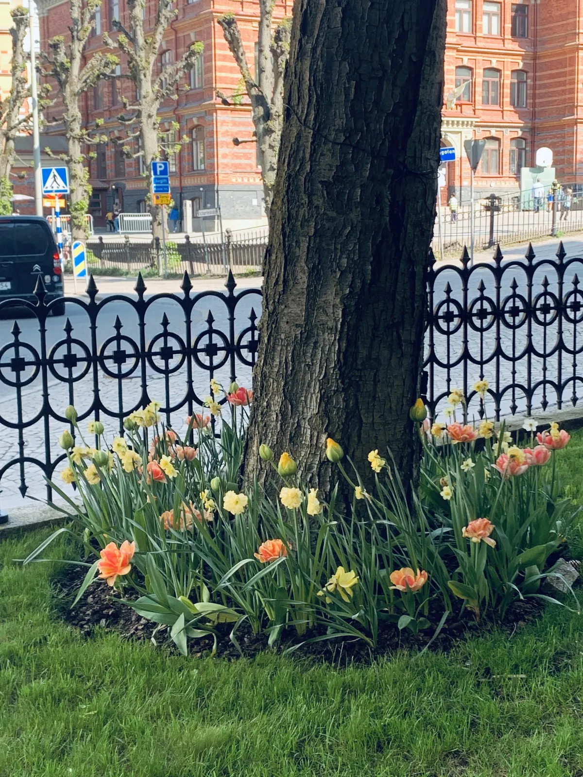 Hyreslägenhet på Göteborg i goteborg