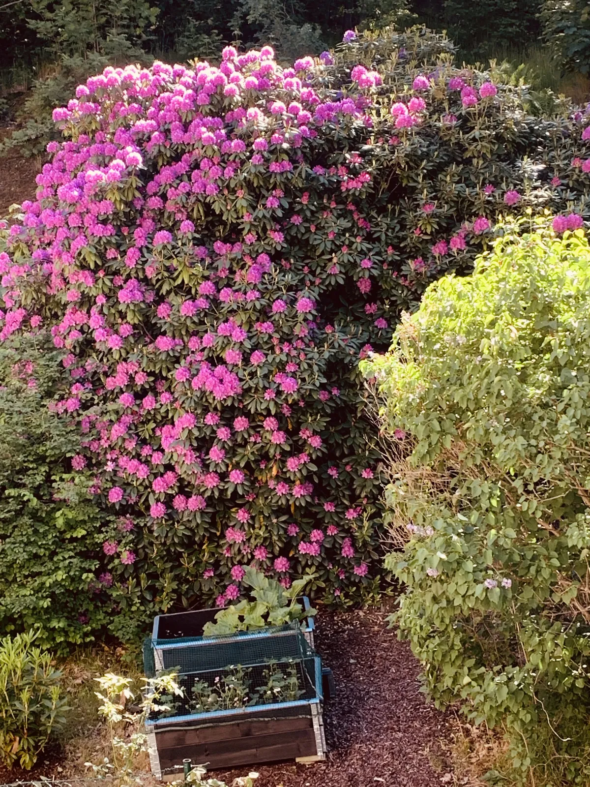 Hyreslägenhet på Göteborg i goteborg