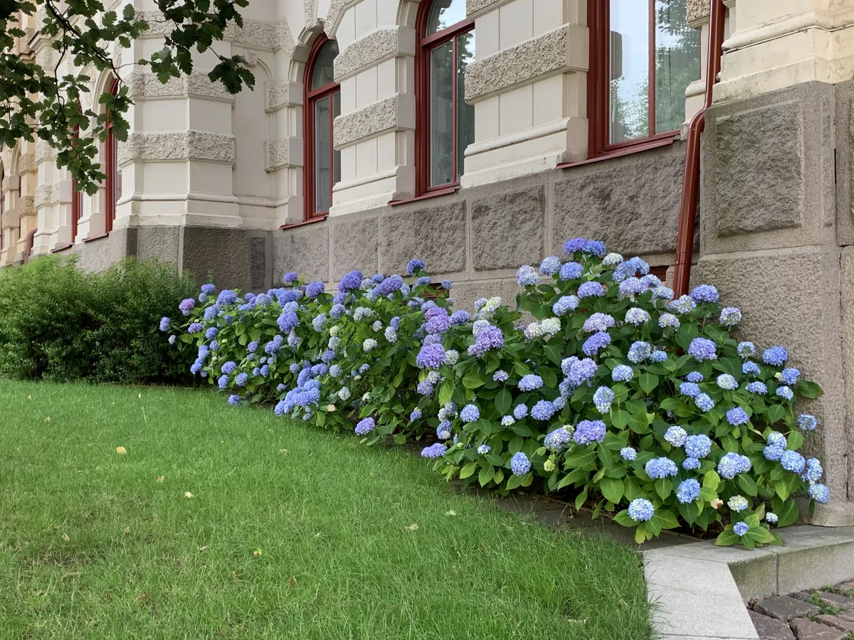 Hyreslägenhet på Göteborg i goteborg