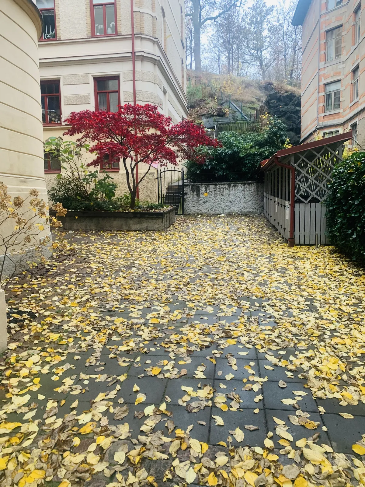 Hyreslägenhet på Göteborg i goteborg