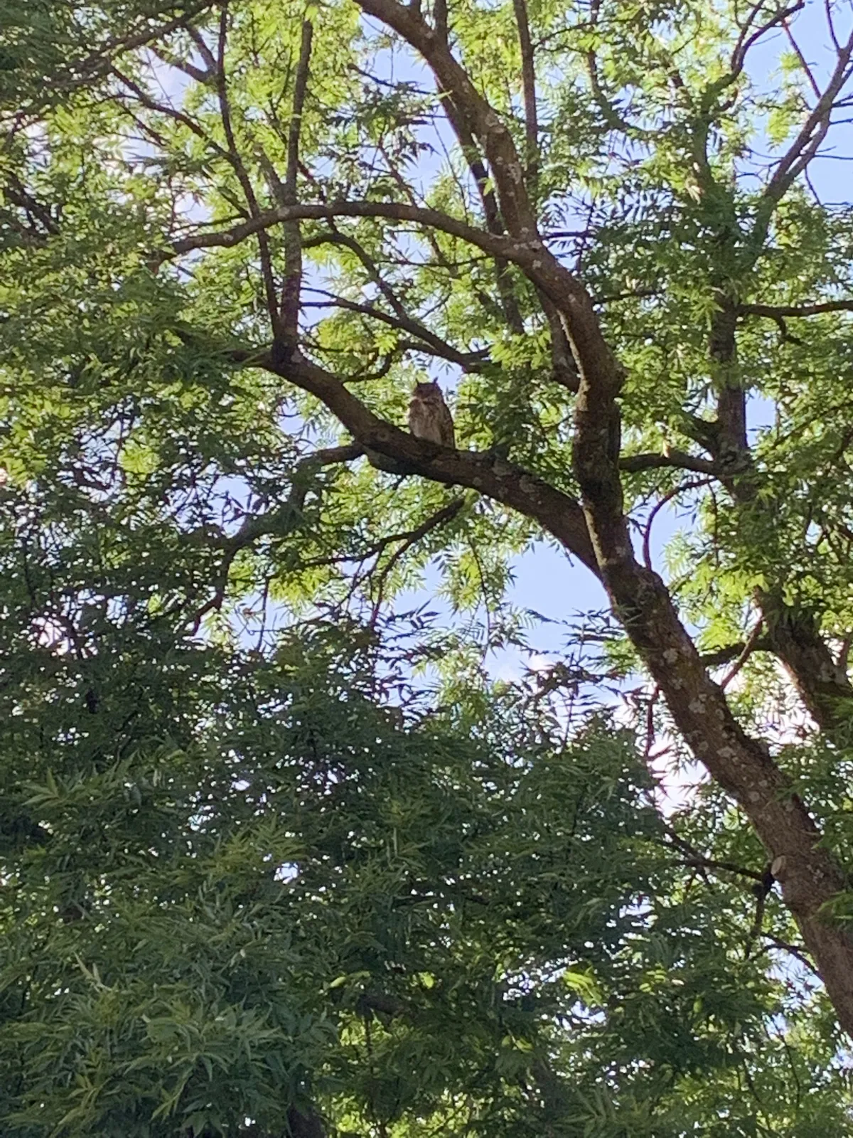 Hyreslägenhet på Göteborg i goteborg