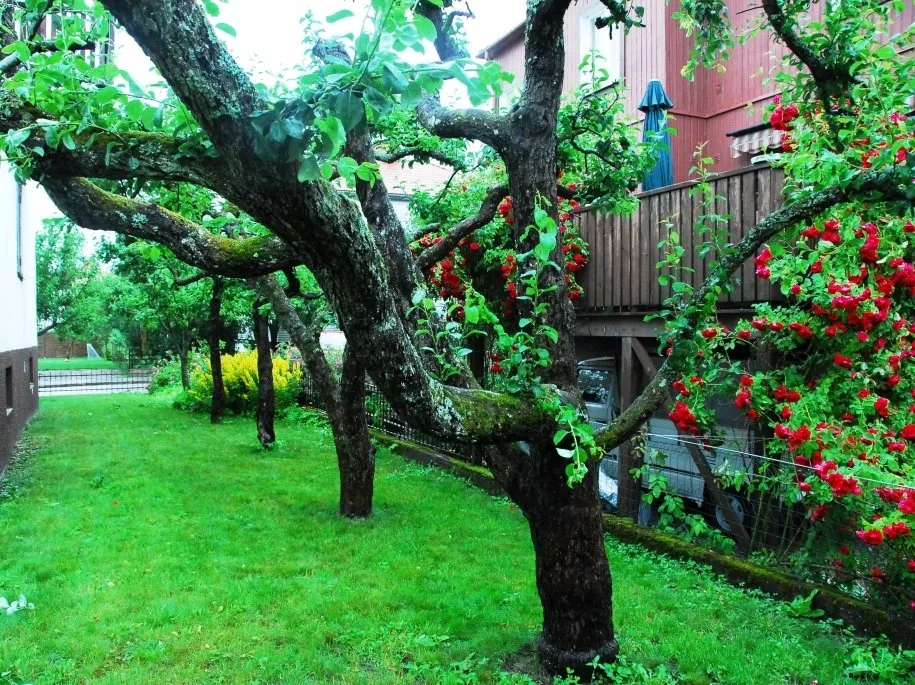 Hyreslägenhet på Eskilstuna i eskilstuna