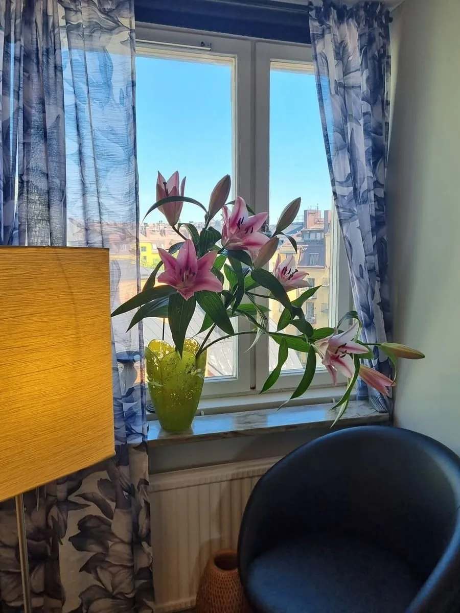 Hyreslägenhet på Stockholm i stockholm