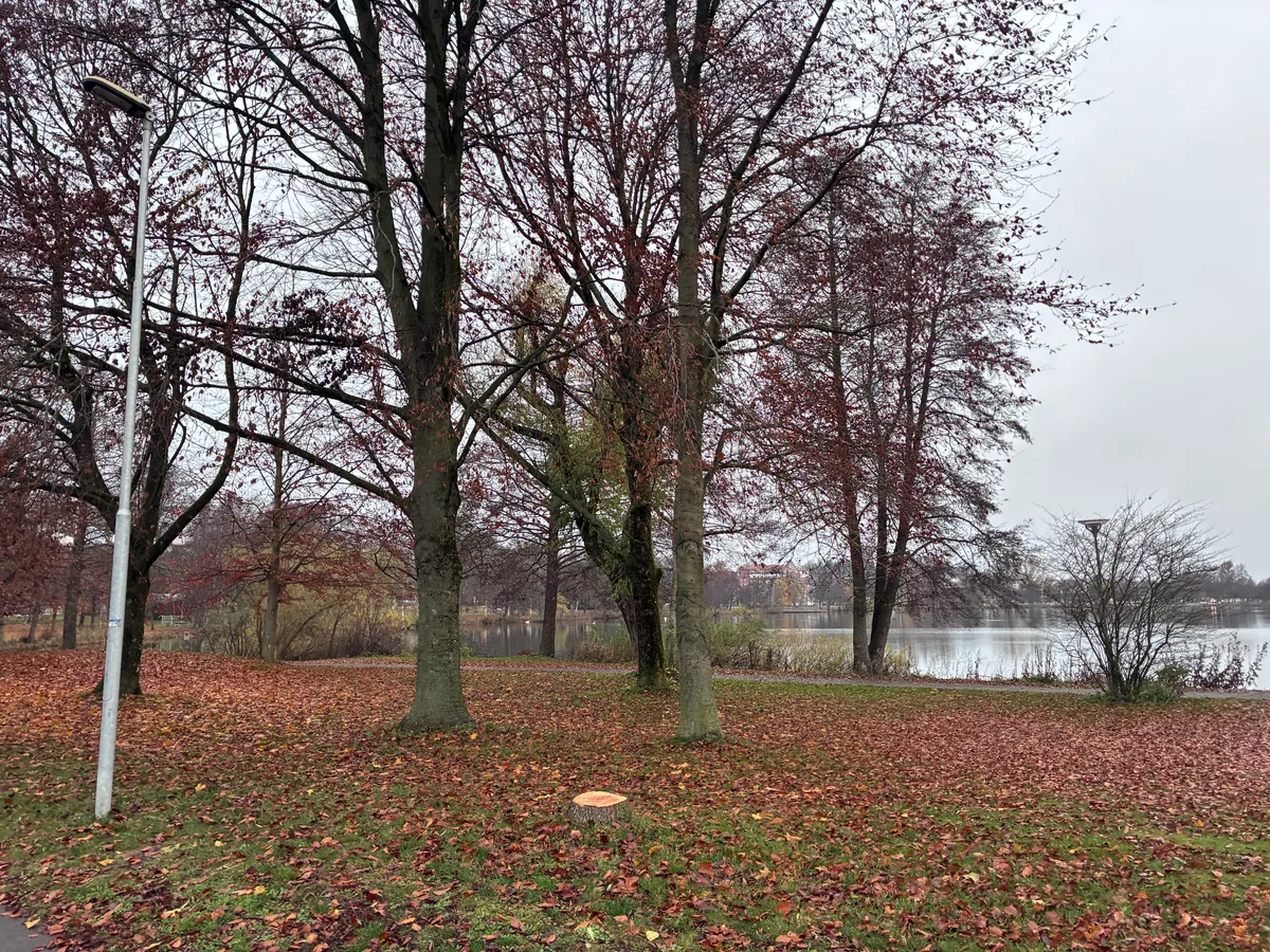 Hyreslägenhet på Nässjö i nassjo