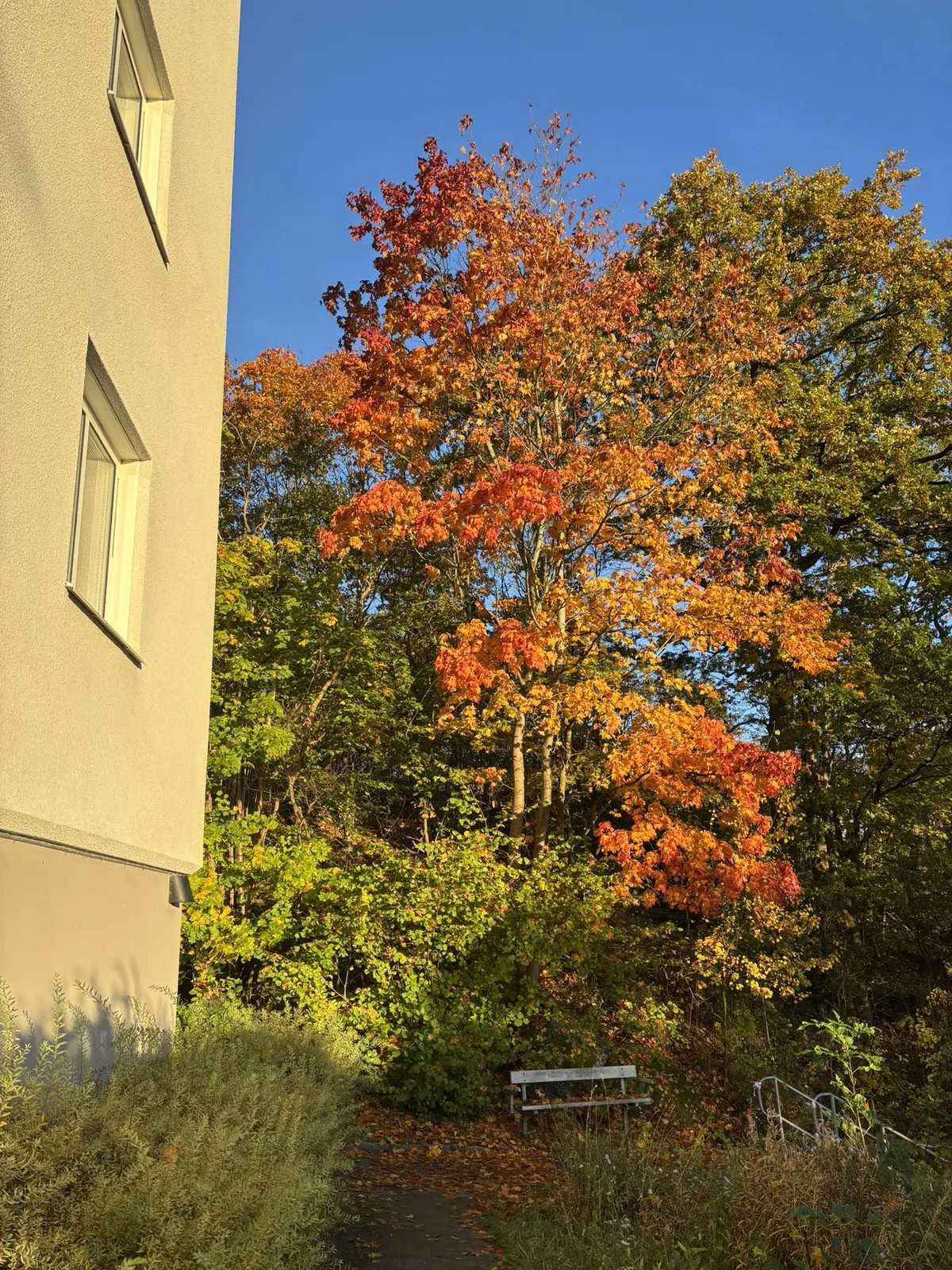 Hyreslägenhet på Göteborg i goteborg