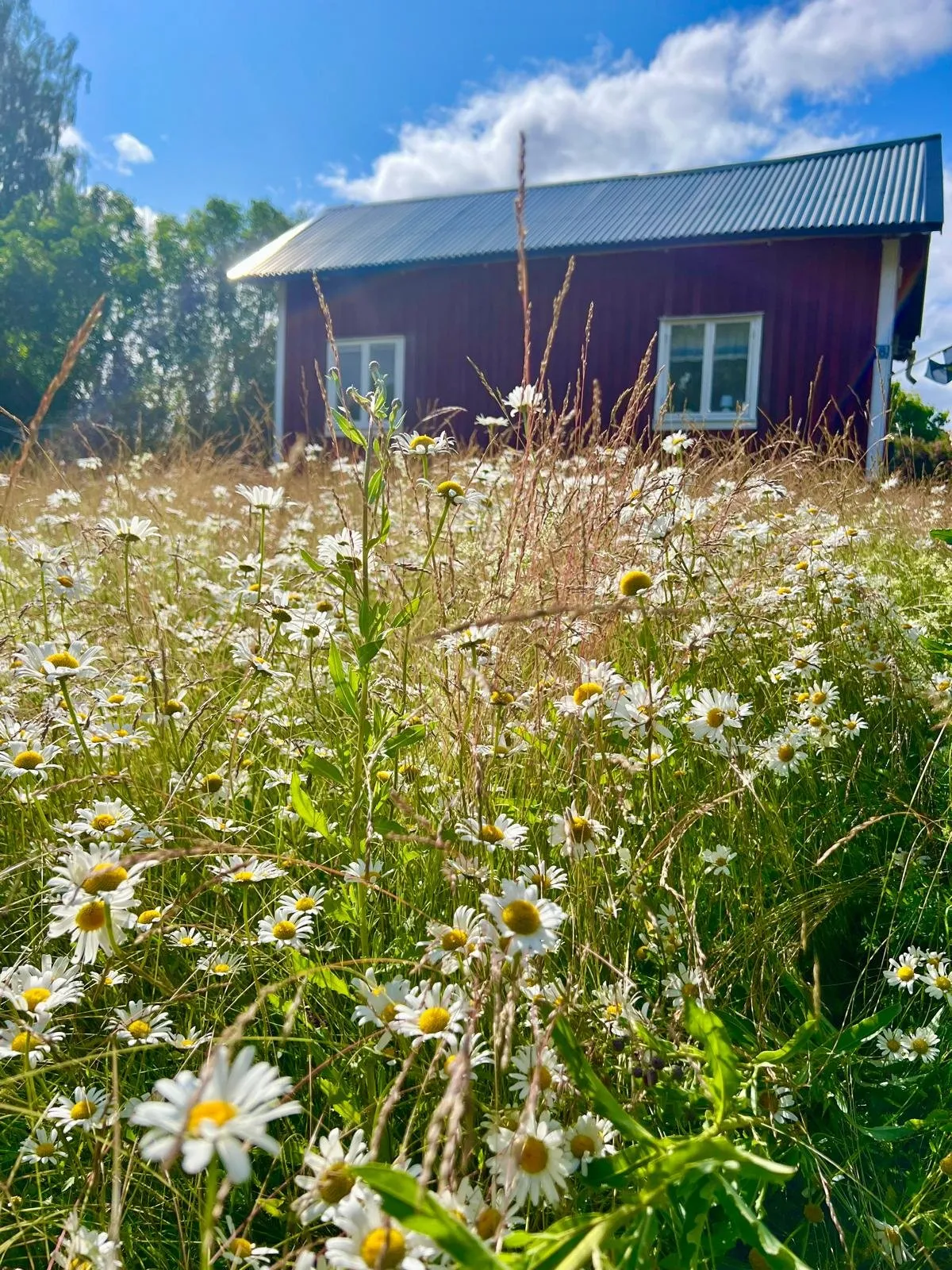 Hyresbostad på Kristinehamn i kristinehamn