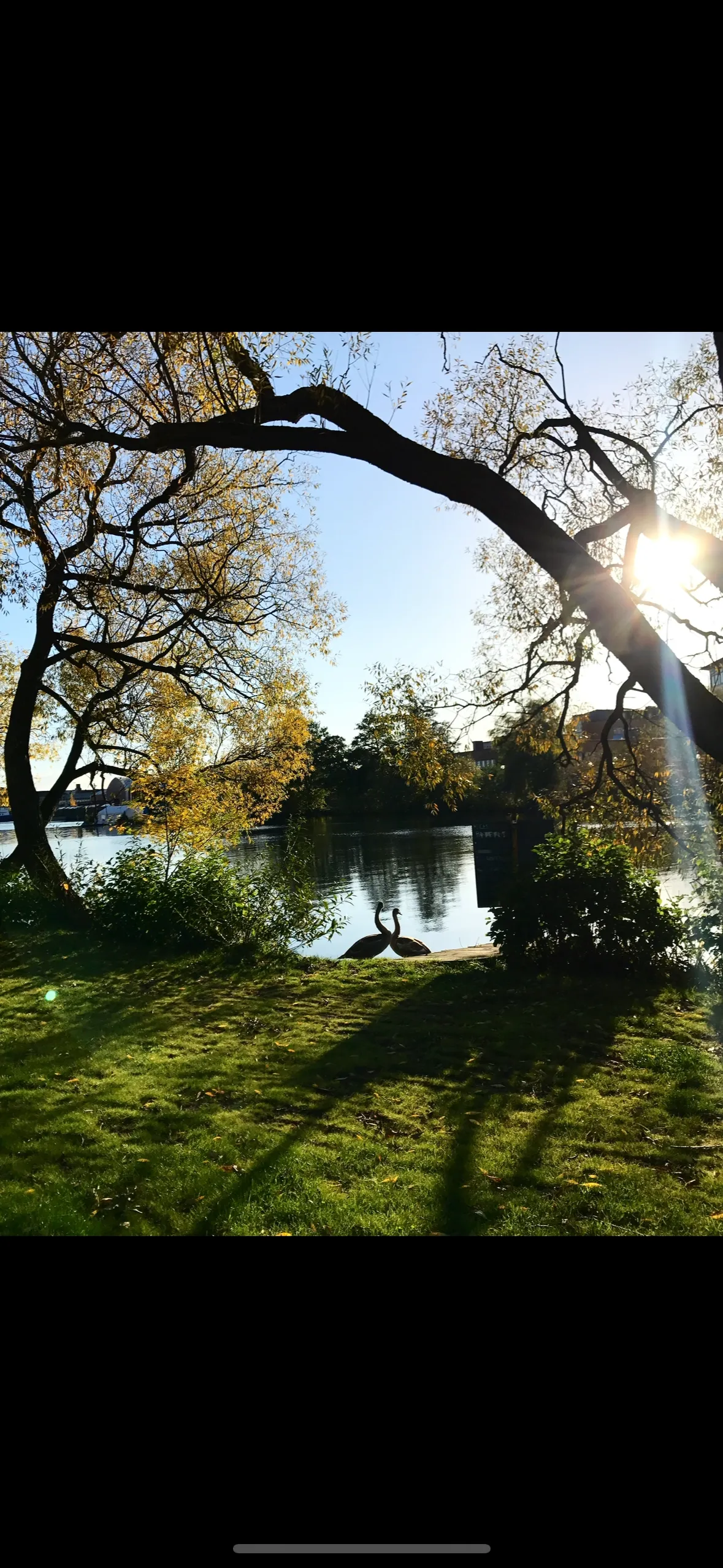 Hyreslägenhet på Sundbyberg i sundbyberg