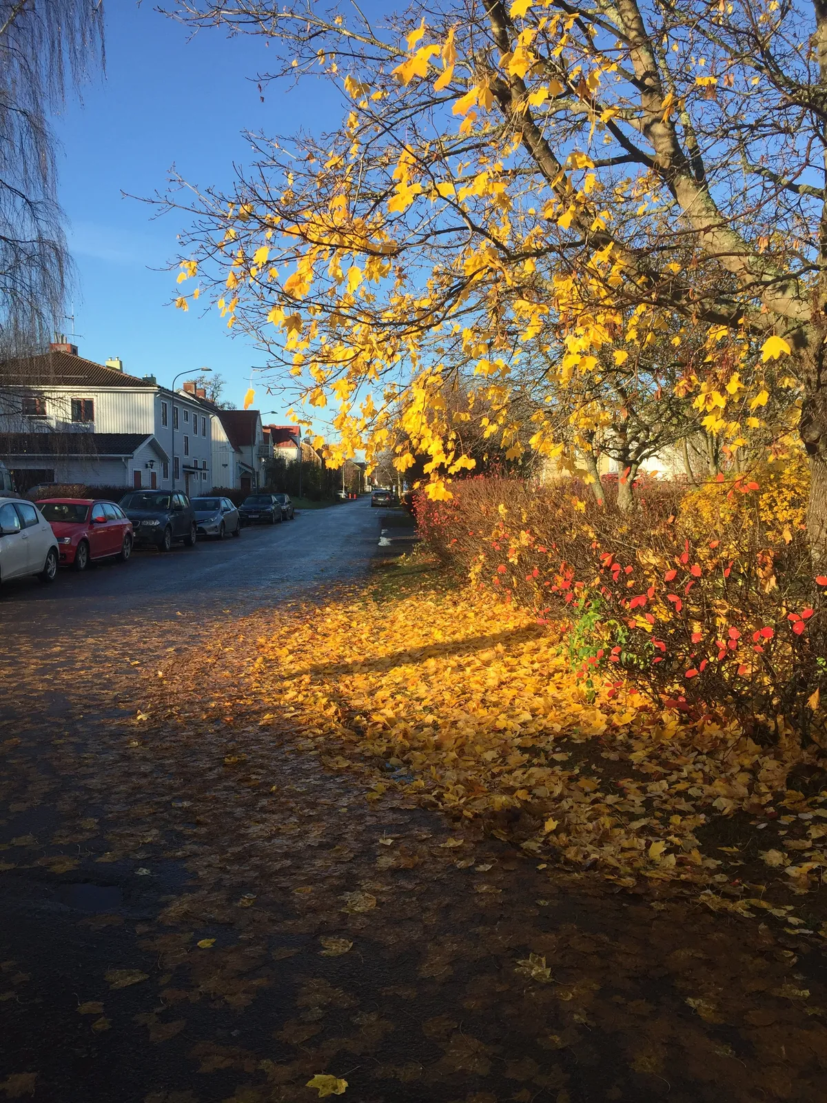 Hyresbostad på Sundsvall i sundsvall