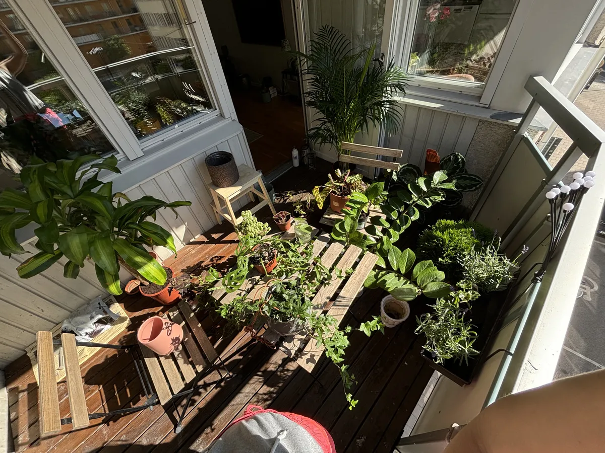 Hyreslägenhet på Stockholm i stockholm