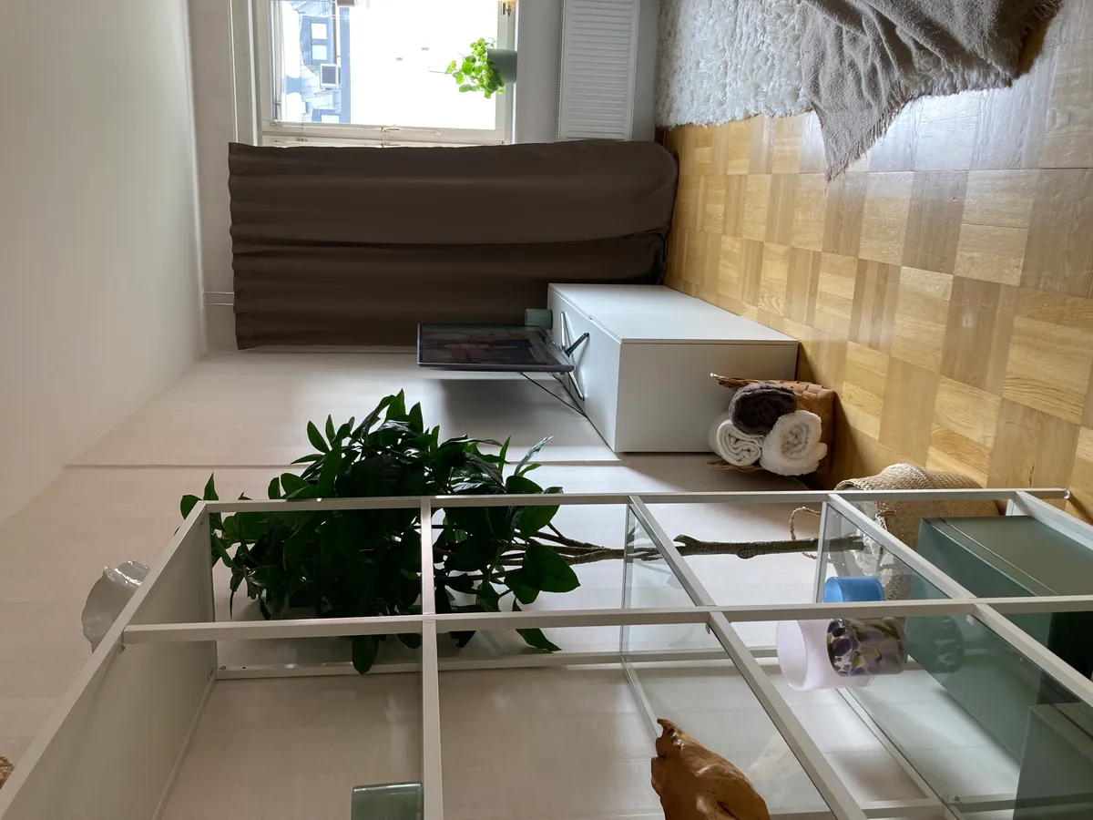 Hyreslägenhet på Karlstad i karlstad