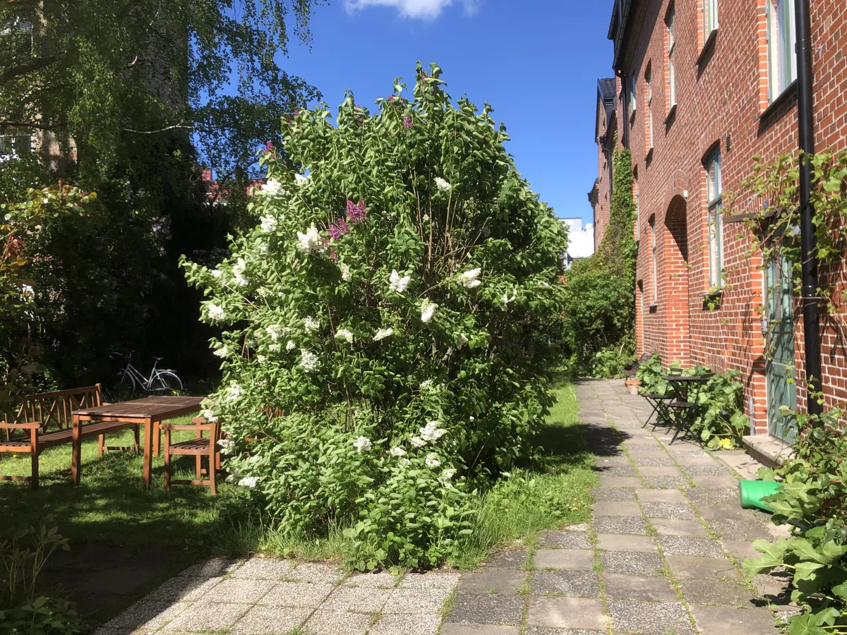 Hyreslägenhet på Lund i lund
