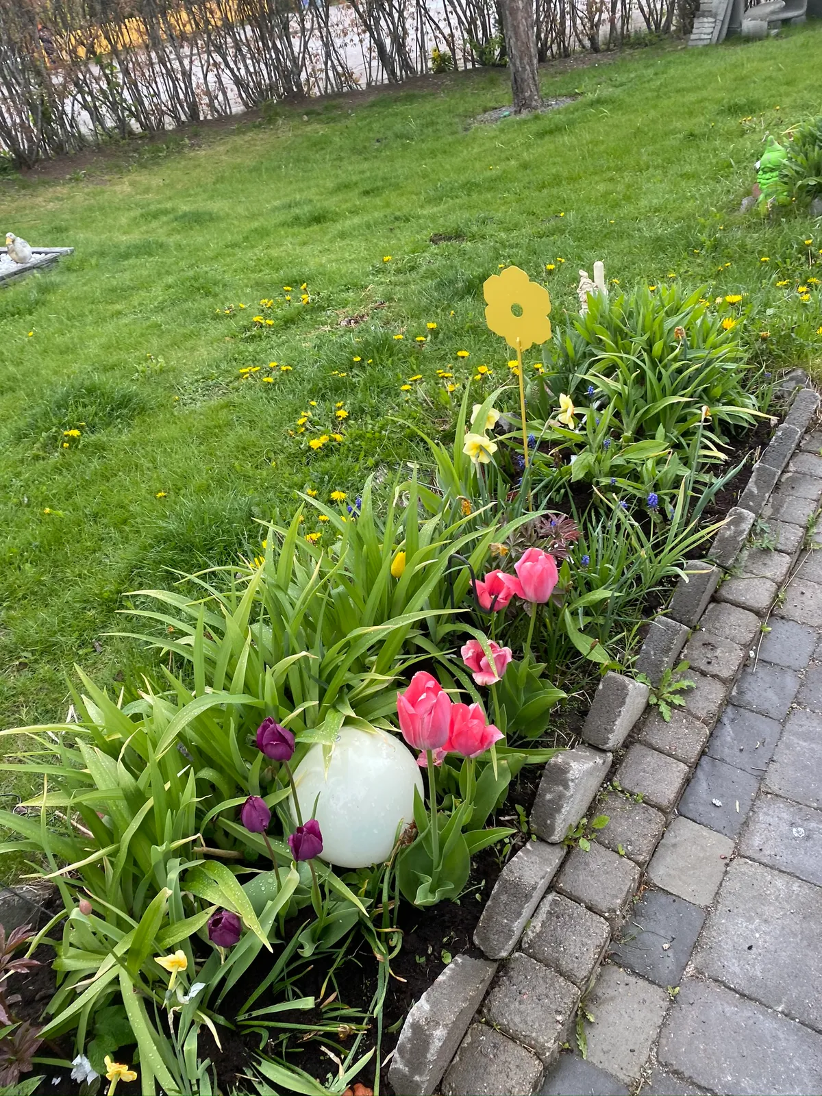 Hyresbostad på Uppsala i uppsala