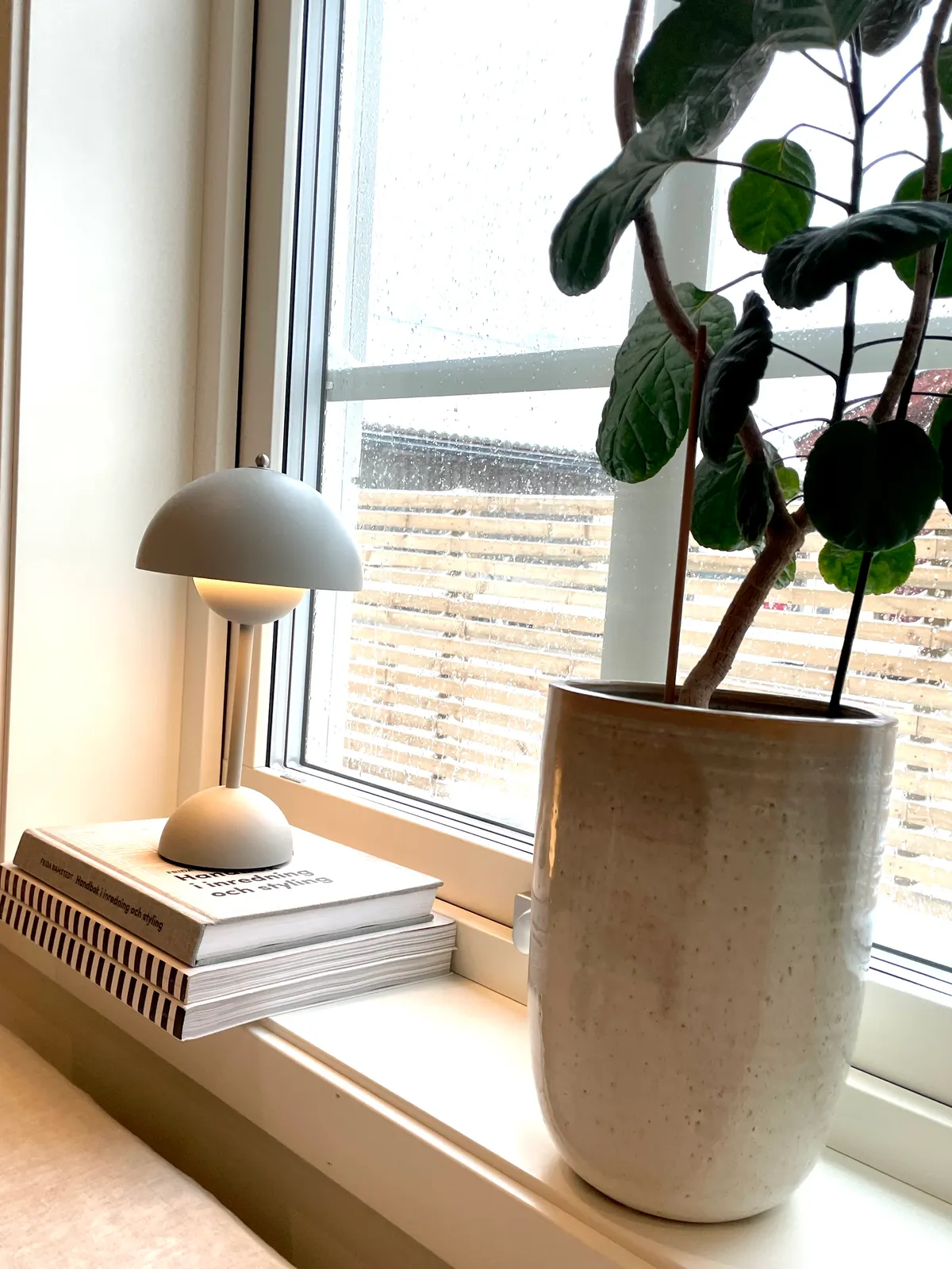 Hyreslägenhet på Umeå i umea