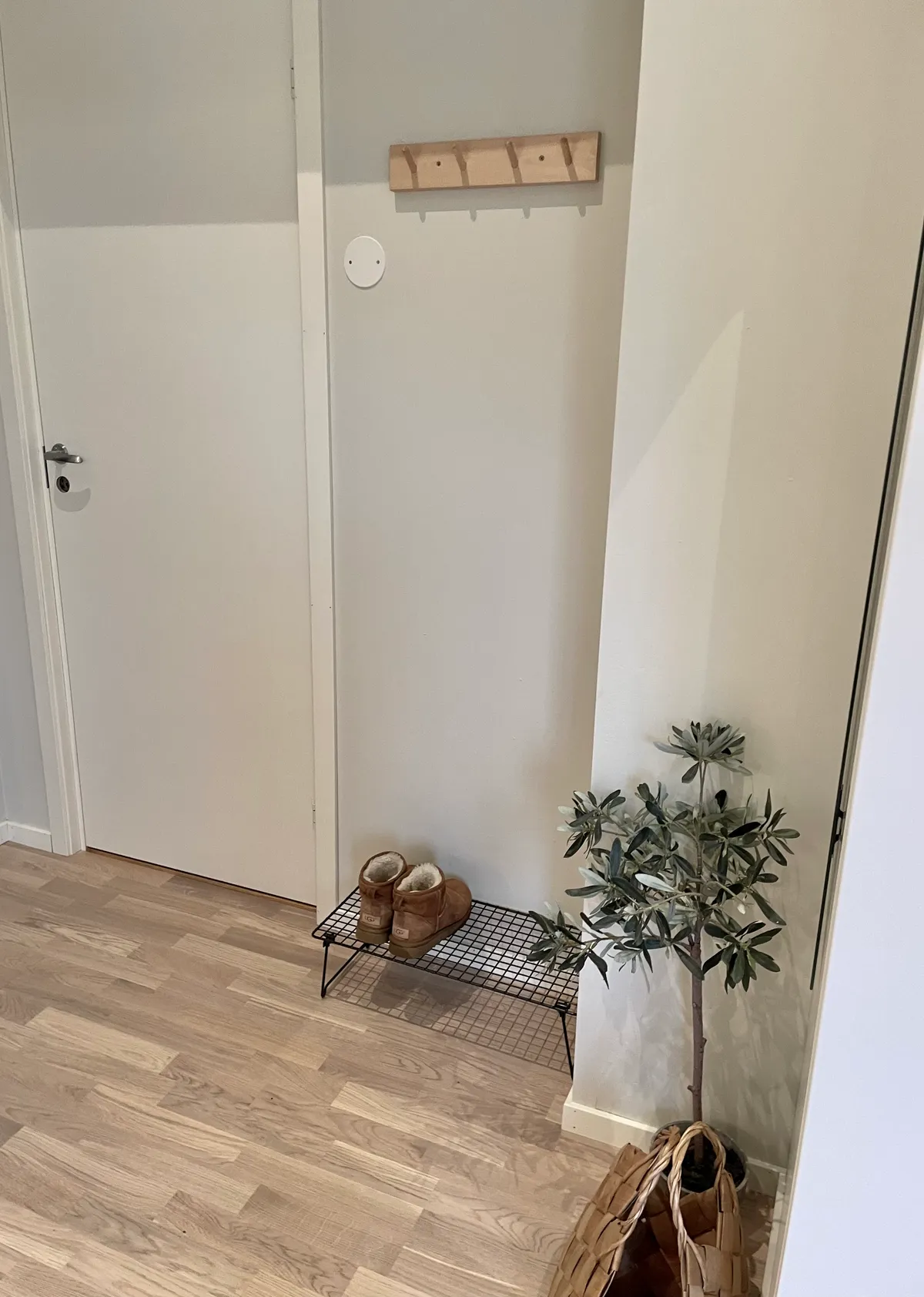 Hyreslägenhet på Umeå i umea