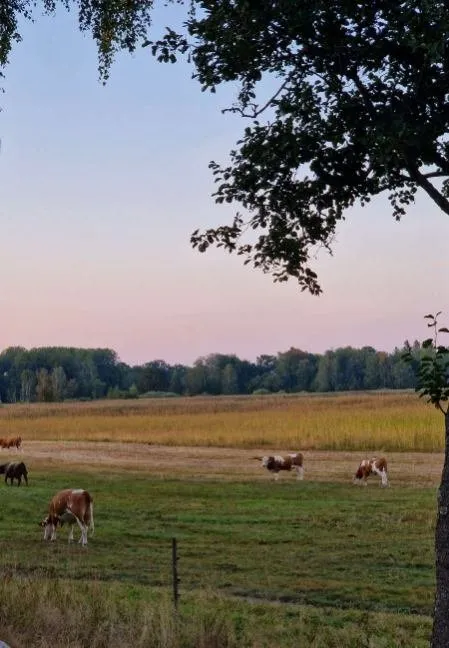 Hyresbostad på Nyköping i nykoping