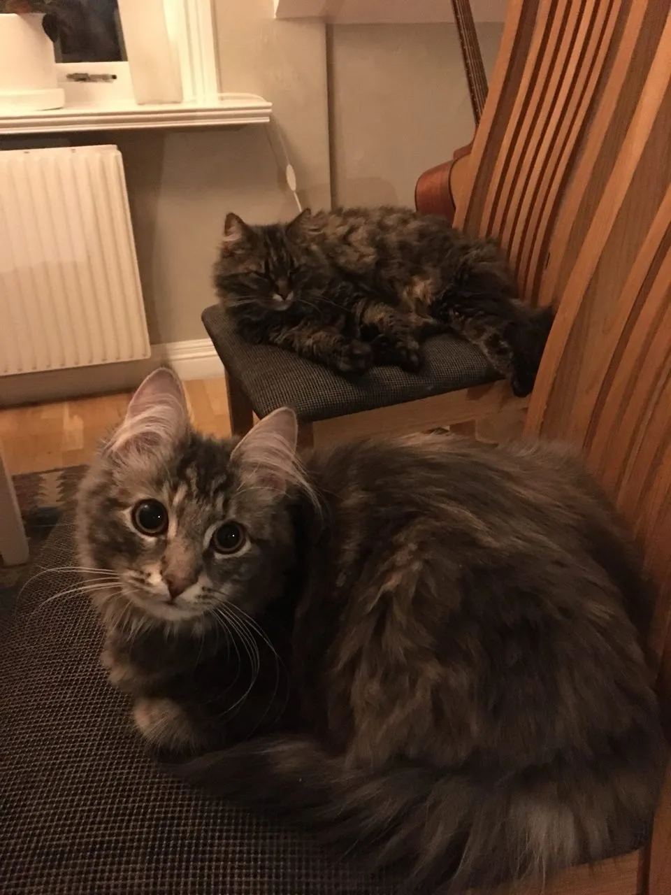 Hyreslägenhet på Uppsala i uppsala