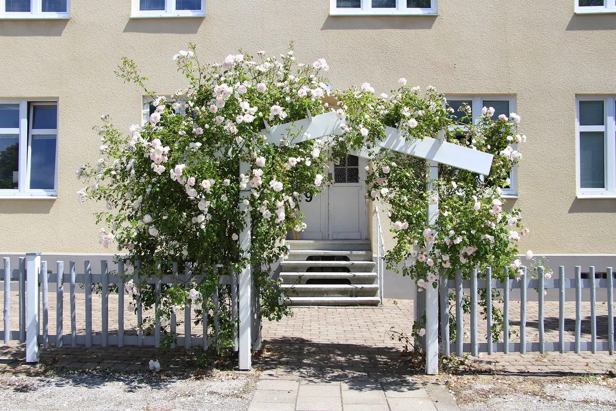 Hyreslägenhet på Trelleborg i trelleborg