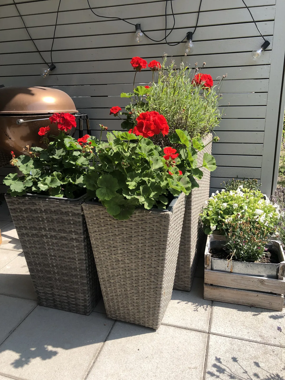 Hyreslägenhet på Malmö i malmo