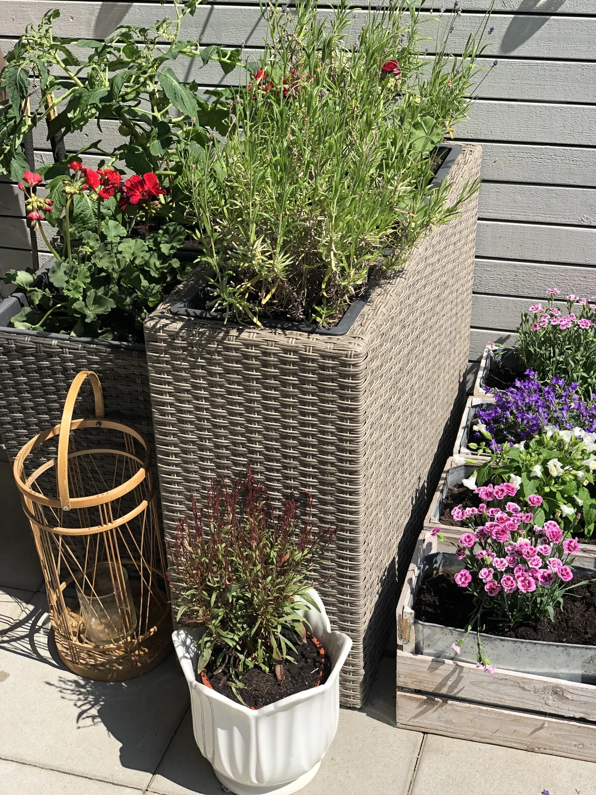 Hyreslägenhet på Malmö i malmo