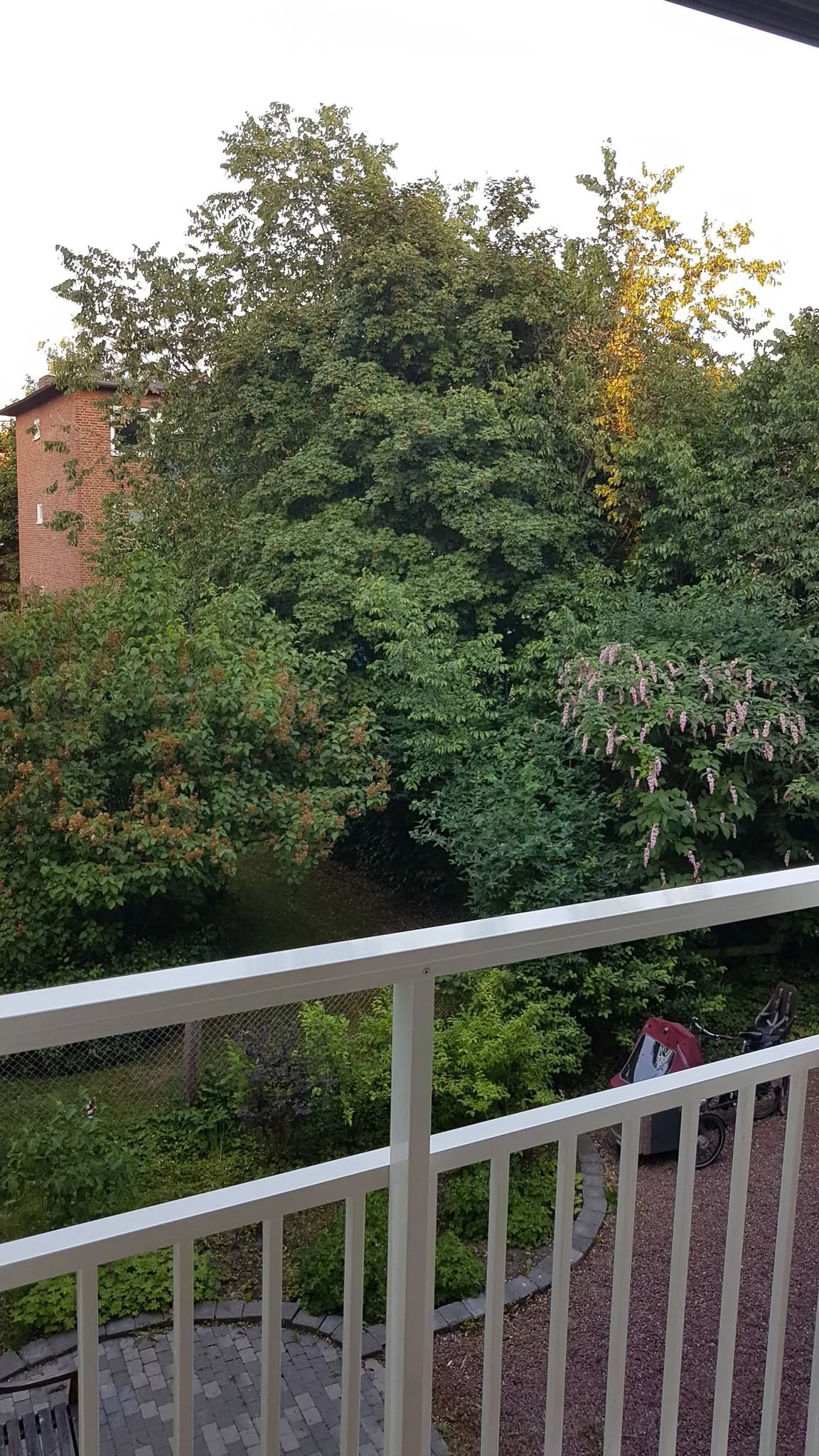 Hyreslägenhet på Lund i lund