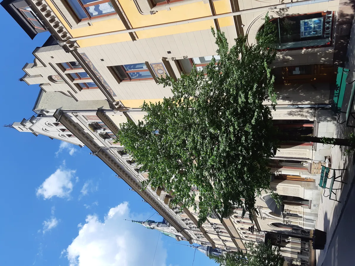 Hyreslägenhet på Sundsvall i sundsvall