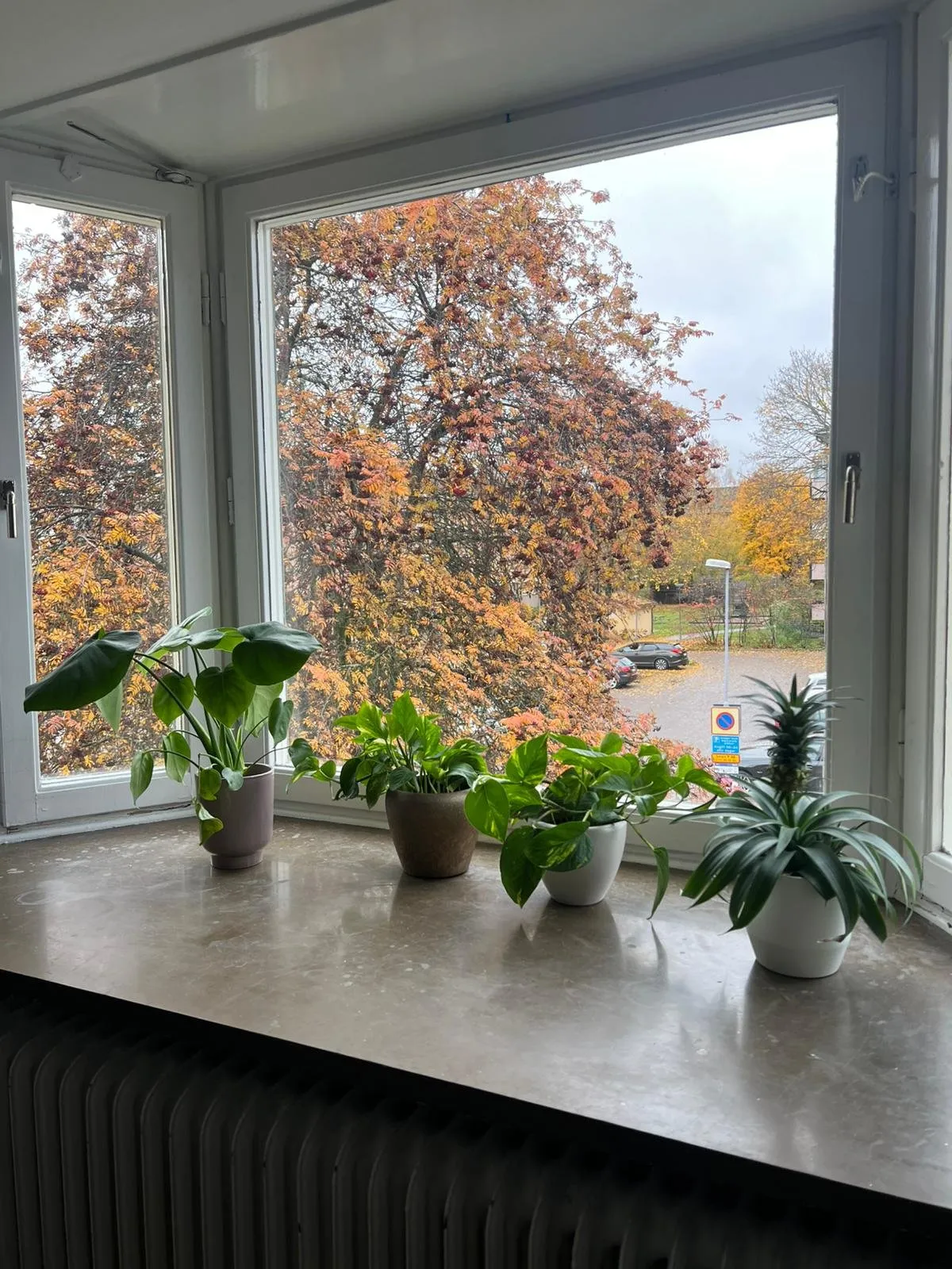 Hyreslägenhet på Uppsala i uppsala