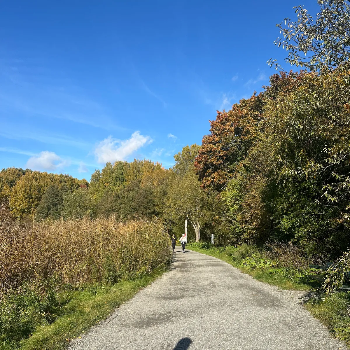Hyreslägenhet på Solna i solna