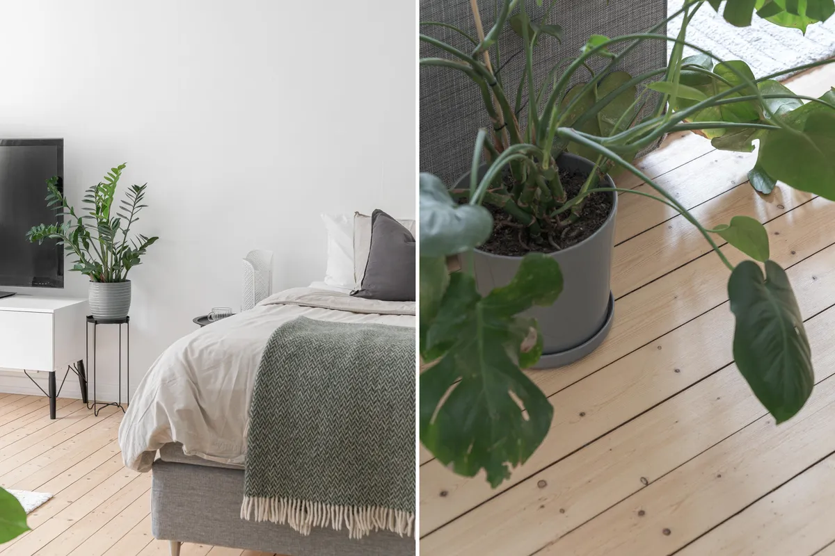 Hyreslägenhet på Malmö i malmo