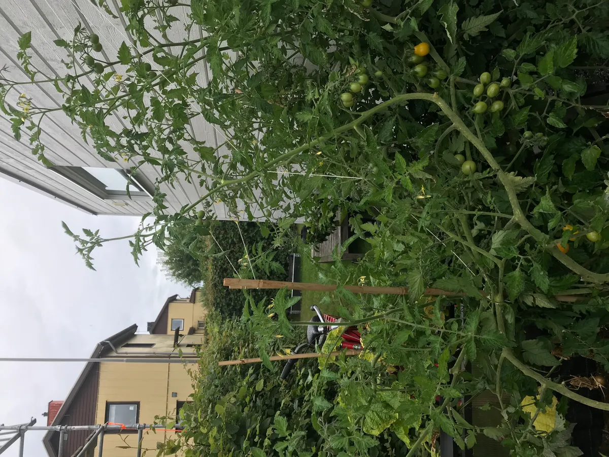 Hyresbostad på Göteborg i goteborg