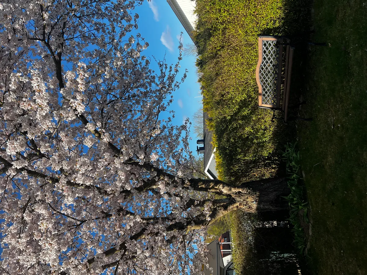 Hyresbostad på Helsingborg i helsingborg