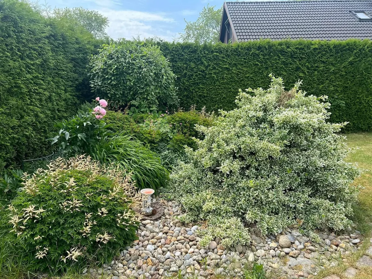 Hyresbostad på Helsingborg i helsingborg