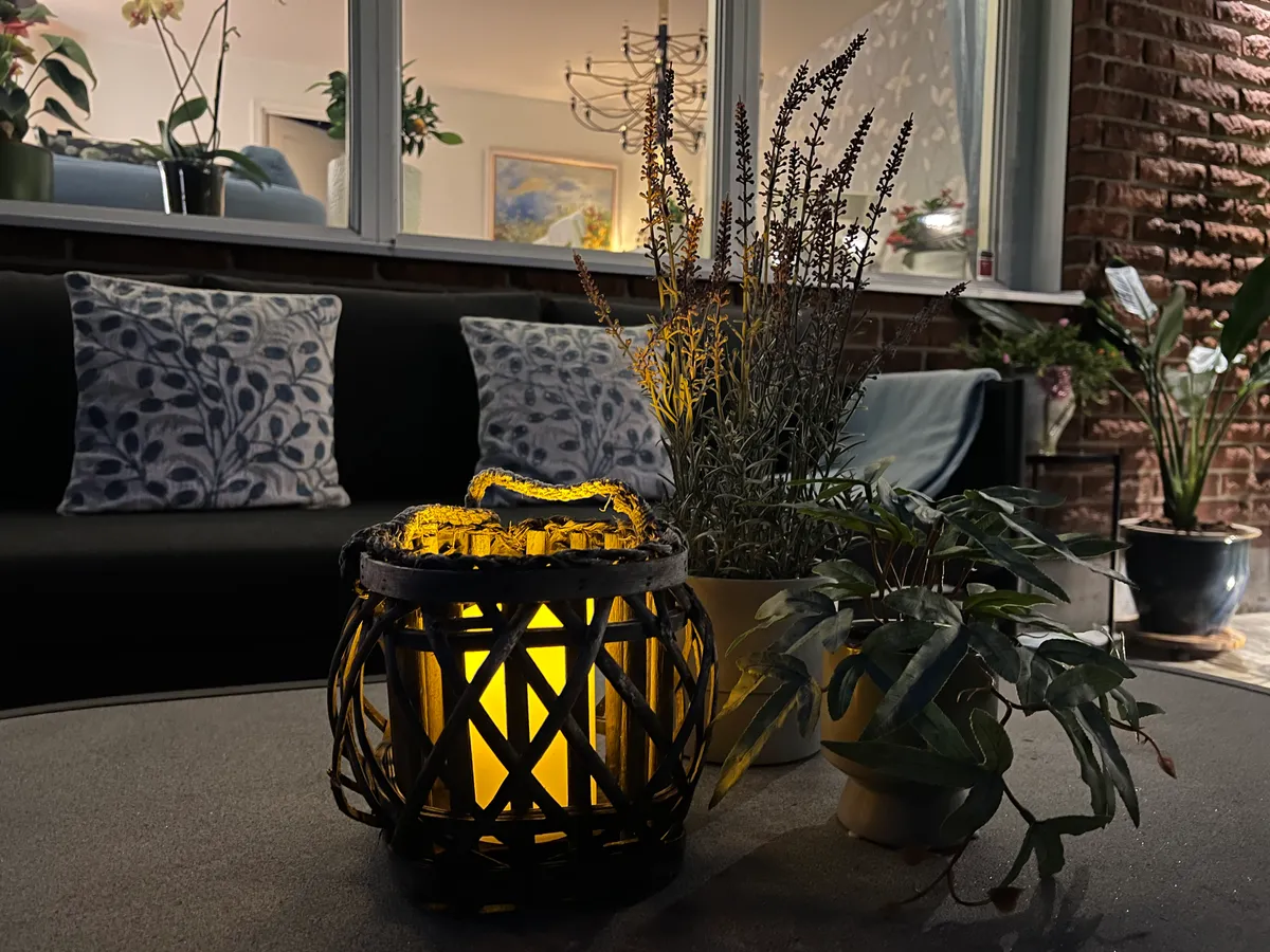 Hyresbostad på Helsingborg i helsingborg