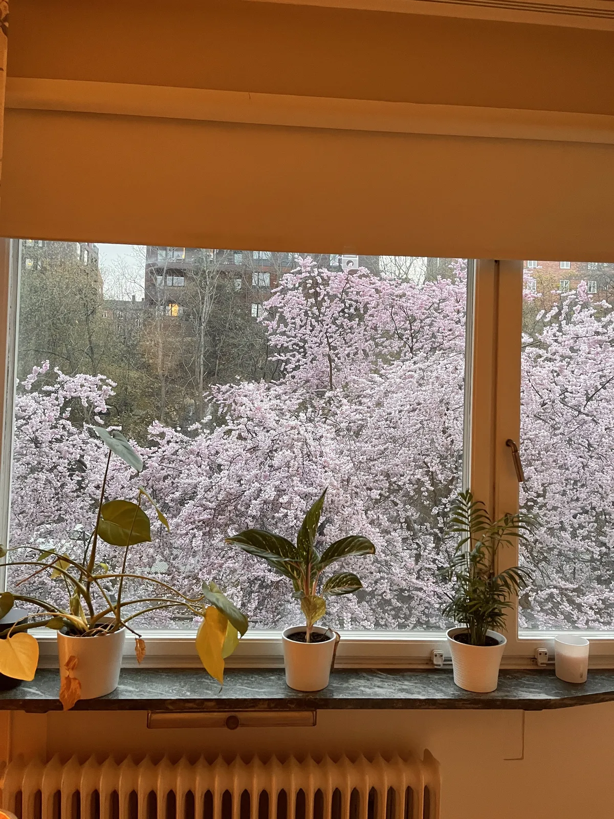 Hyreslägenhet på Hägersten i hagersten