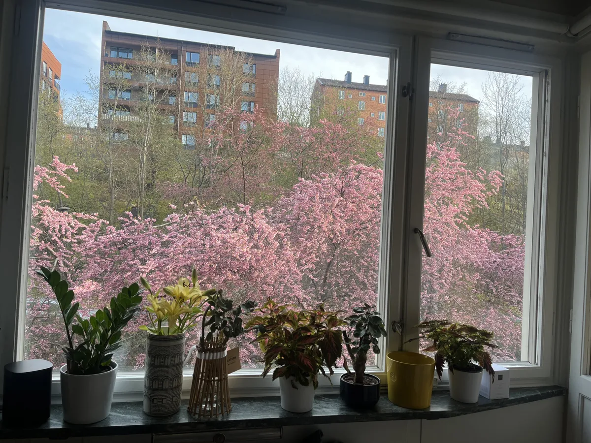 Hyreslägenhet på Hägersten i hagersten