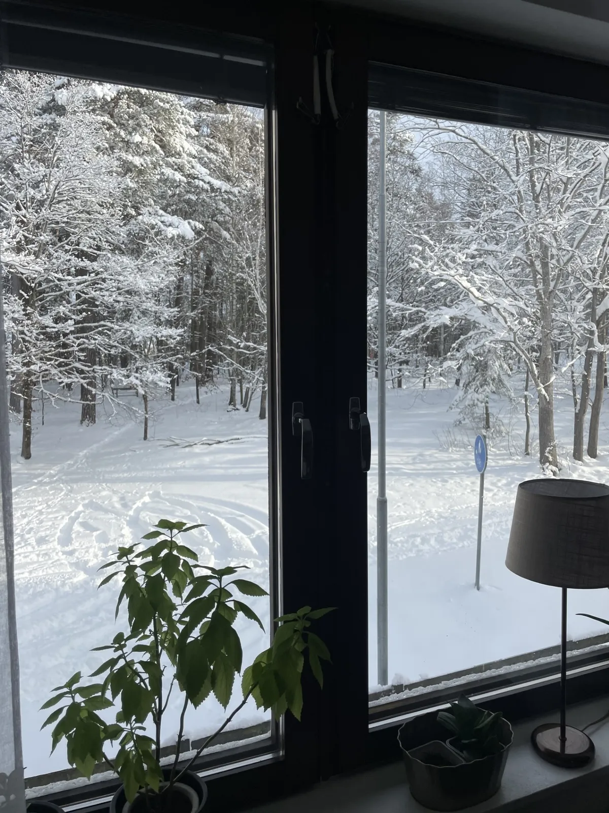 Hyreslägenhet på Linköping i linkoping