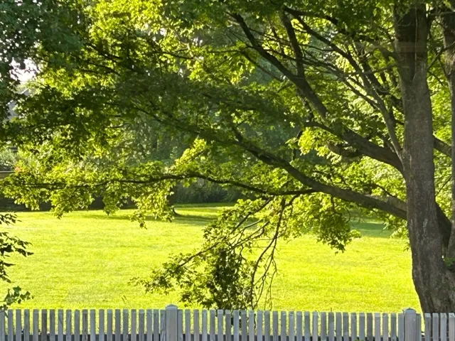 Hyresbostad på Helsingborg i helsingborg