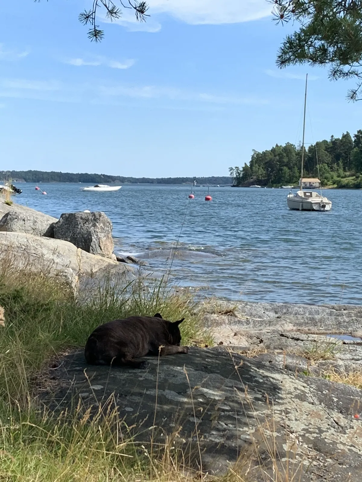 Hyresbostad på Vaxholm i vaxholm