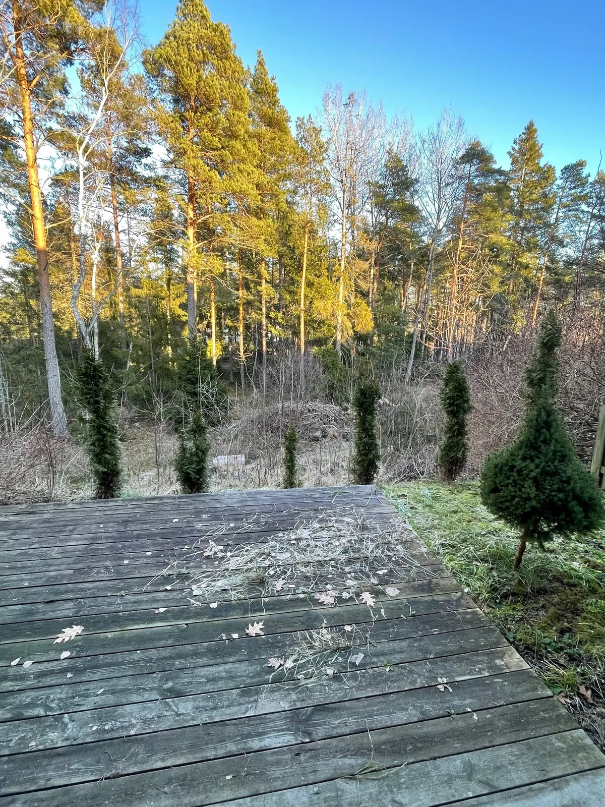 Hyreslägenhet på Upplands Väsby i upplands-vasby