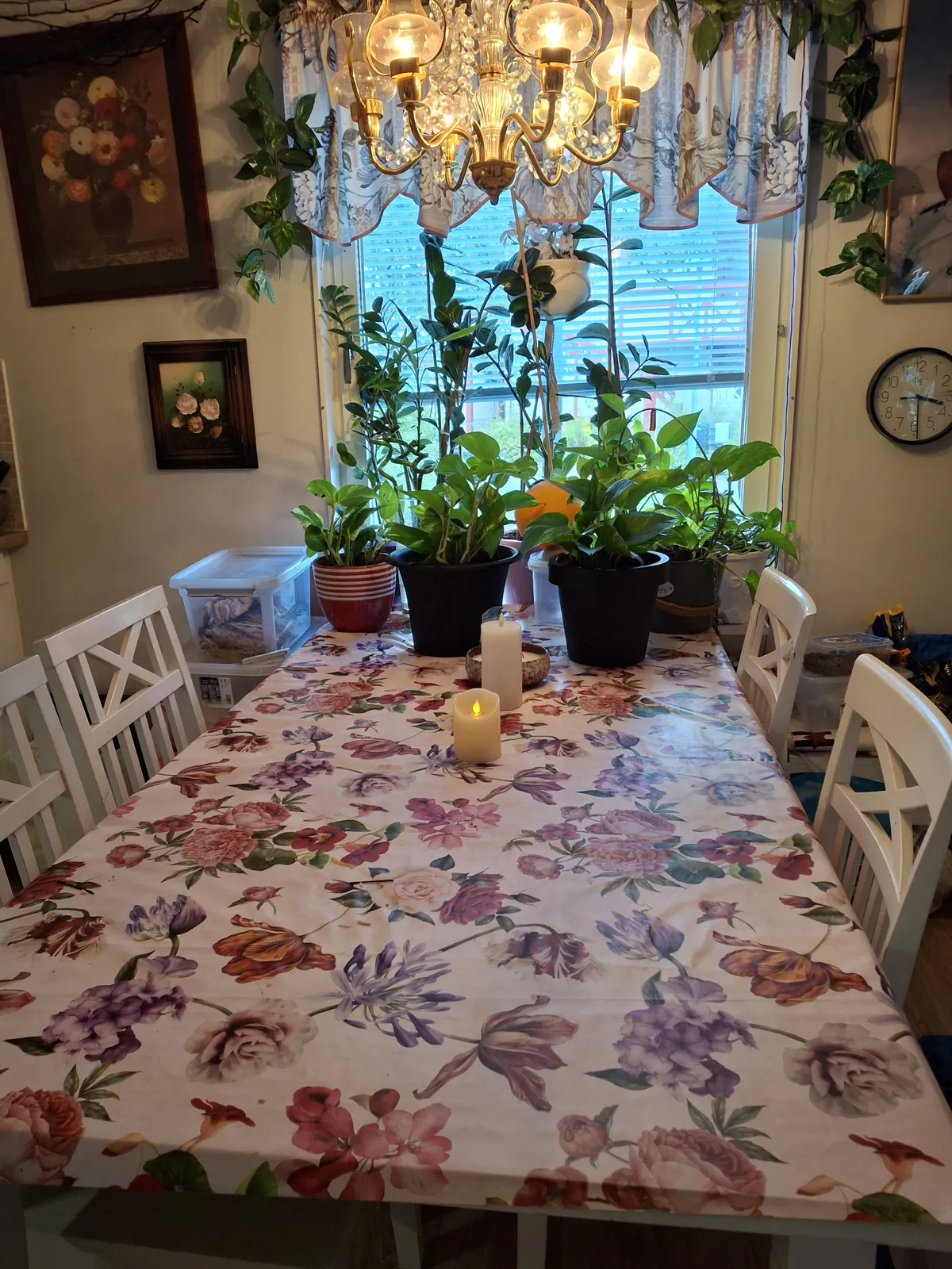 Hyreslägenhet på Umeå i umea