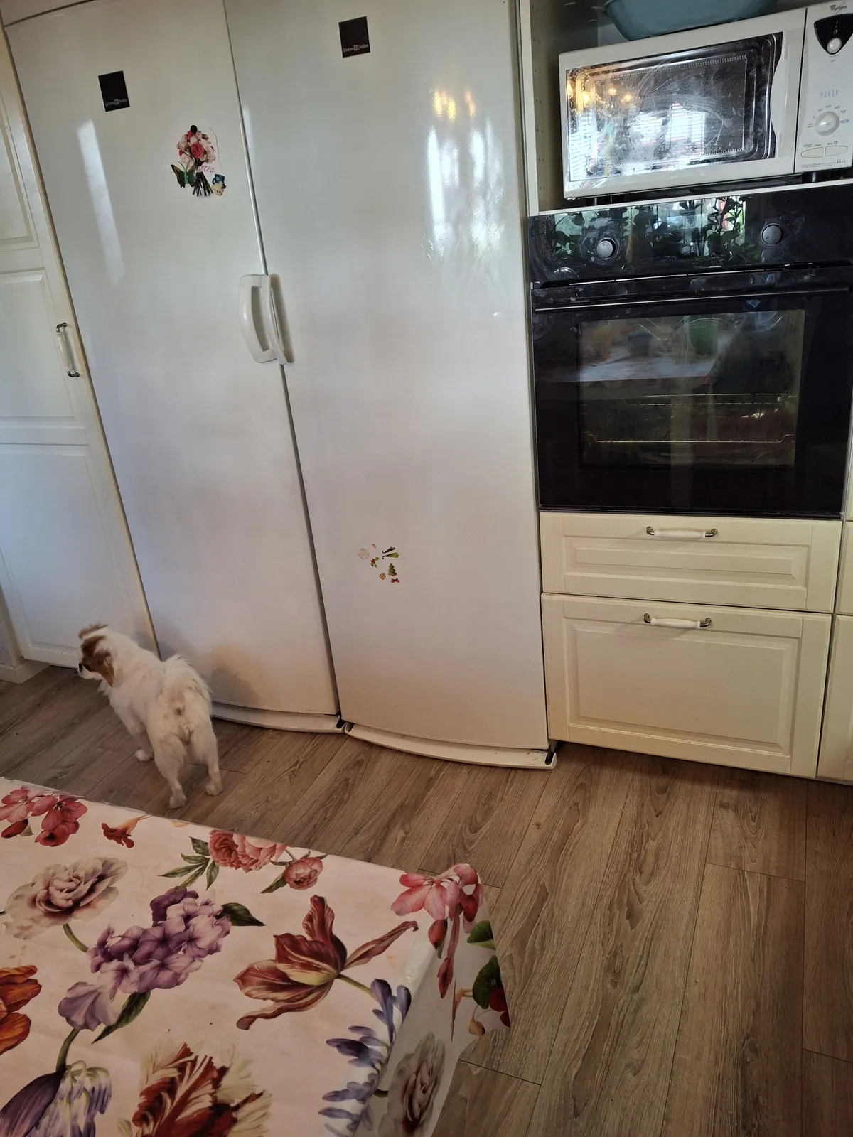 Hyreslägenhet på Umeå i umea