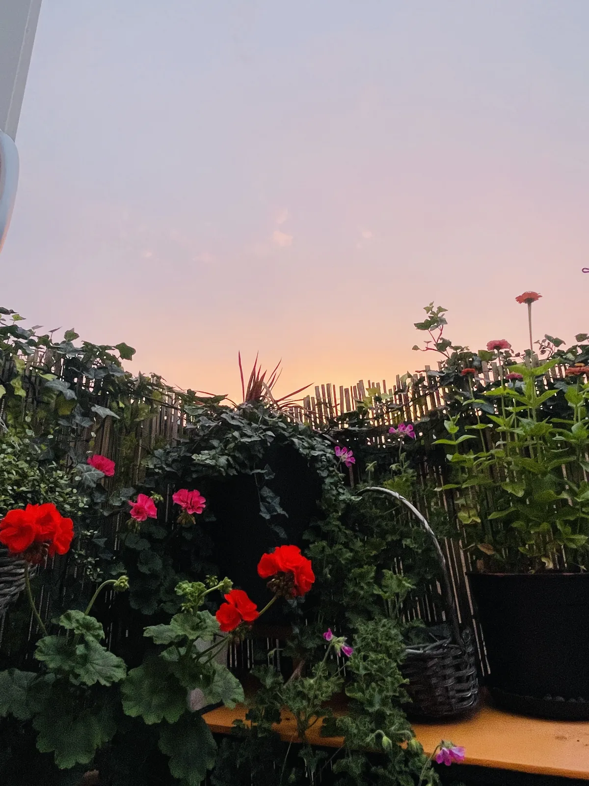 Hyreslägenhet på Sollentuna i sollentuna