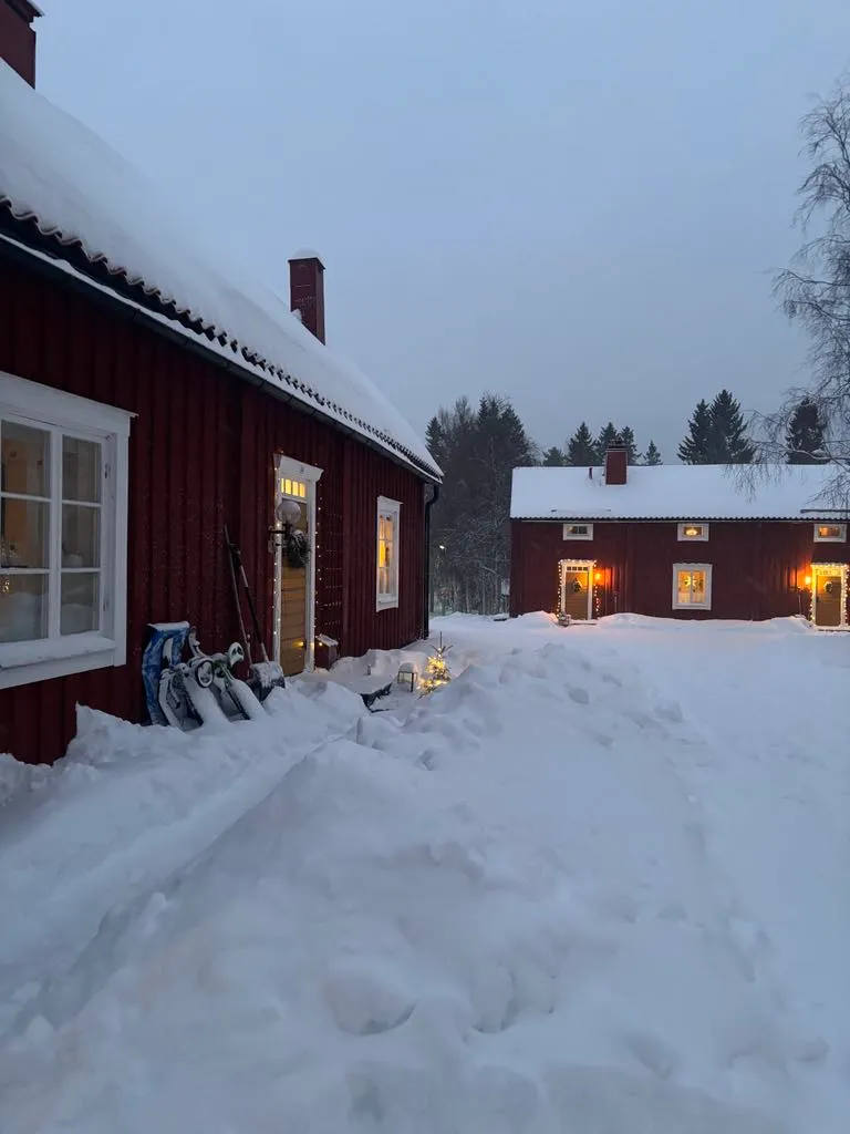 Hyresbostad på Umeå i umea