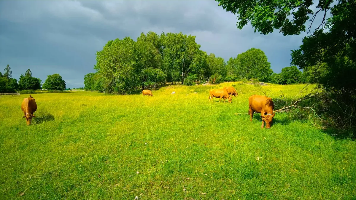 Hyreslägenhet på Uppsala i uppsala