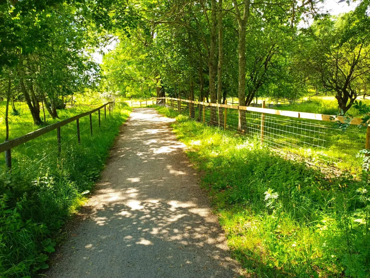 Hyreslägenhet på Uppsala i uppsala