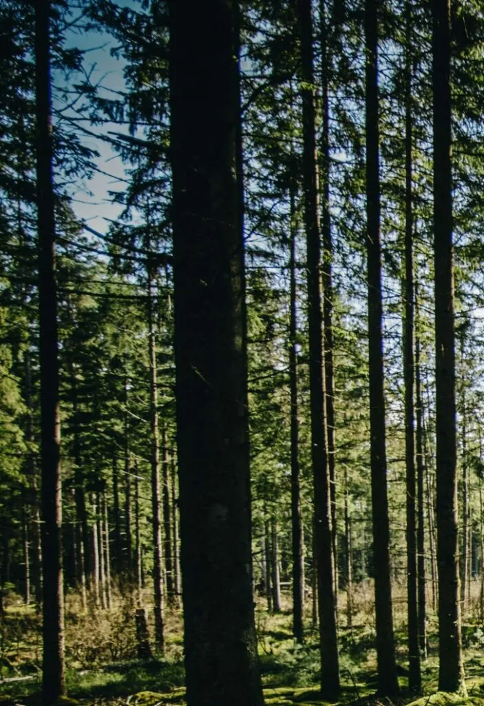 Hyreslägenhet på Sollentuna i sollentuna